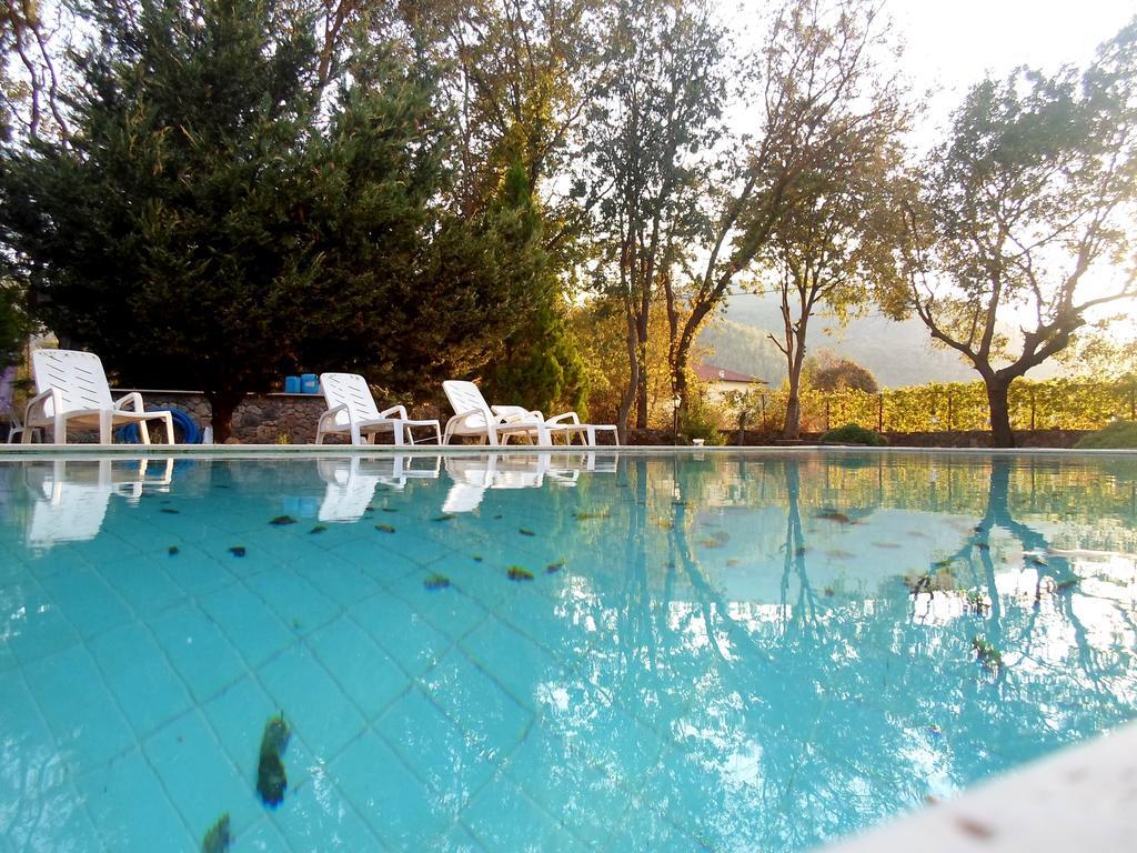 Kaya Apart Pension Kayakoy Cameră foto